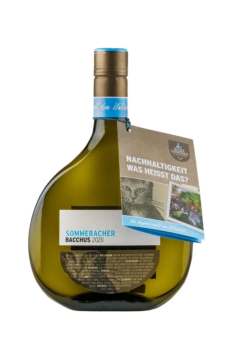 Bacchus Kabinett htr. BB – Sommeracher Katzenkopf, Winzer Sommerach, Franken